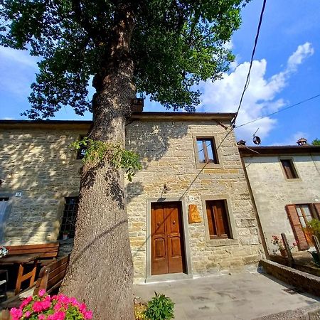 Casina La Quercia Leilighet Santa Sofia Eksteriør bilde