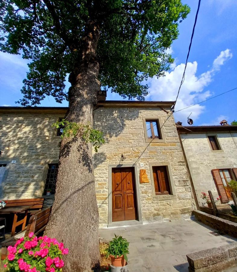 Casina La Quercia Leilighet Santa Sofia Eksteriør bilde