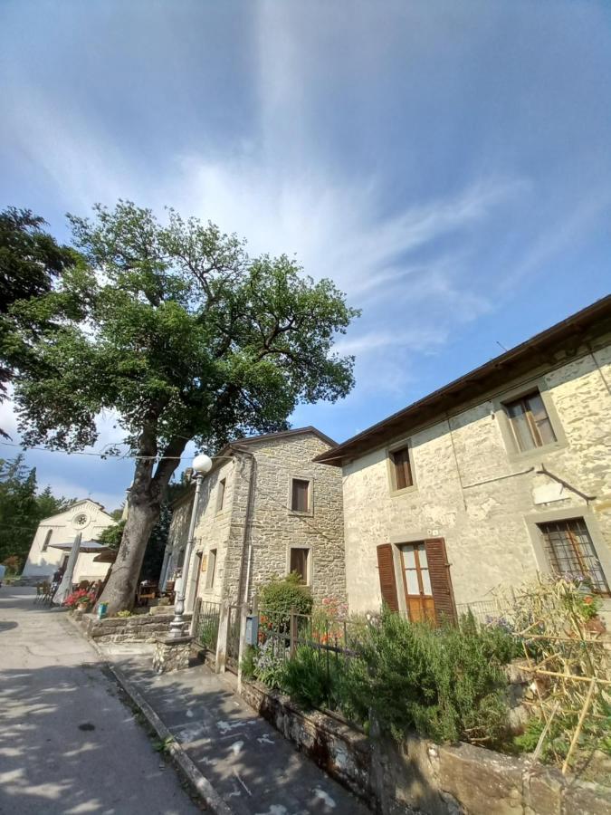 Casina La Quercia Leilighet Santa Sofia Eksteriør bilde
