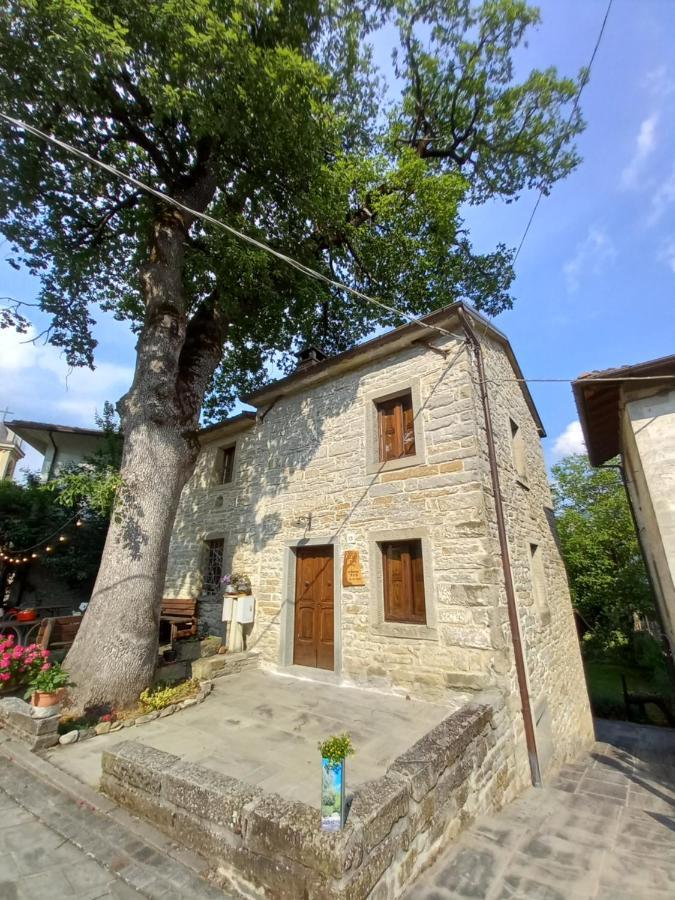 Casina La Quercia Leilighet Santa Sofia Eksteriør bilde