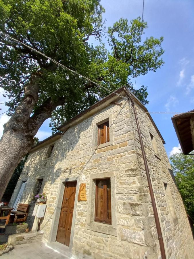 Casina La Quercia Leilighet Santa Sofia Eksteriør bilde